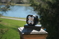 Baja head light/rock light (sqaudron)
